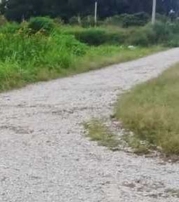 Jalan Menuju SMP 025 Paranginan Memprihatinkan, Warga Desak Pemkab Humbahas Segera Bertindak