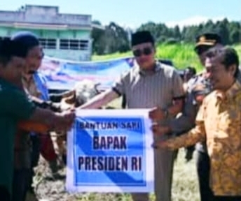 headline-foto