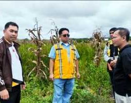 Pemkab Humbahas bersama Kadis SDA Sumut Tinjau Peningkatan Saluran Irigasi Sungai Aek Sibundong