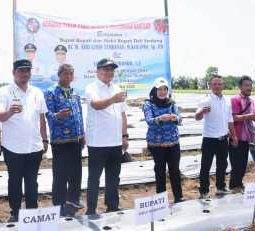 Tanam Cabai di Sunggal, Bupati Tindaklanjuti Keluhan Petani Soal Irigasi
