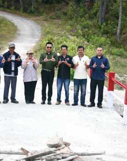 Bupati Humbahas Tinjau Jembatan Perintis Garuda Tambok Naimbaru